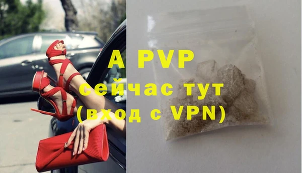 PSILOCYBIN Ладушкин