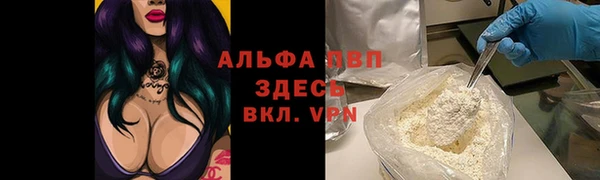 PSILOCYBIN Ладушкин