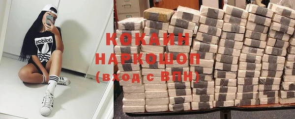 PSILOCYBIN Ладушкин