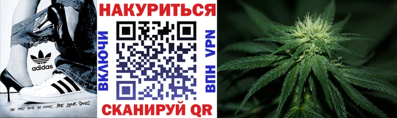 Купить закладки  Невьянск  Конопля Amnesia 